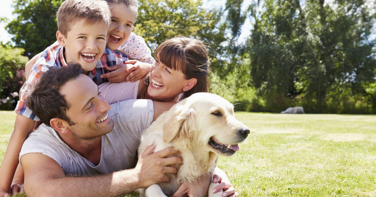 A Christian Home – Husband – The Head of the Home