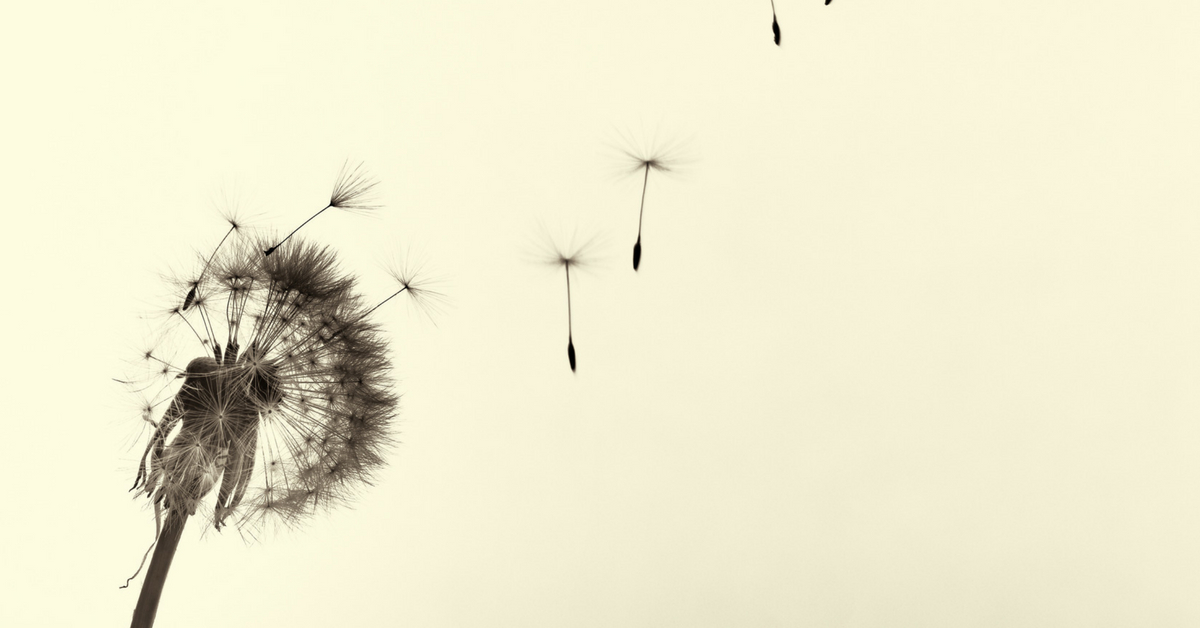 Semillas al Aire - Raúl Ferrero