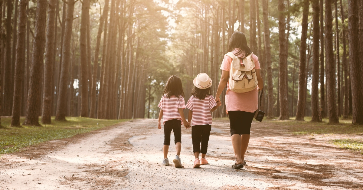 El rincón de la naturaleza